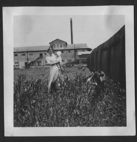 Hal Christine Crouch