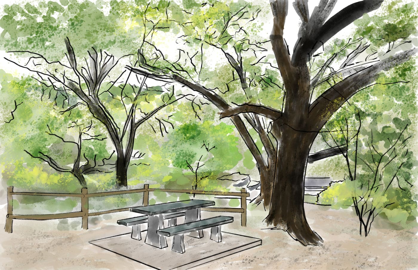 Bull Creek Park, Austin, Texas